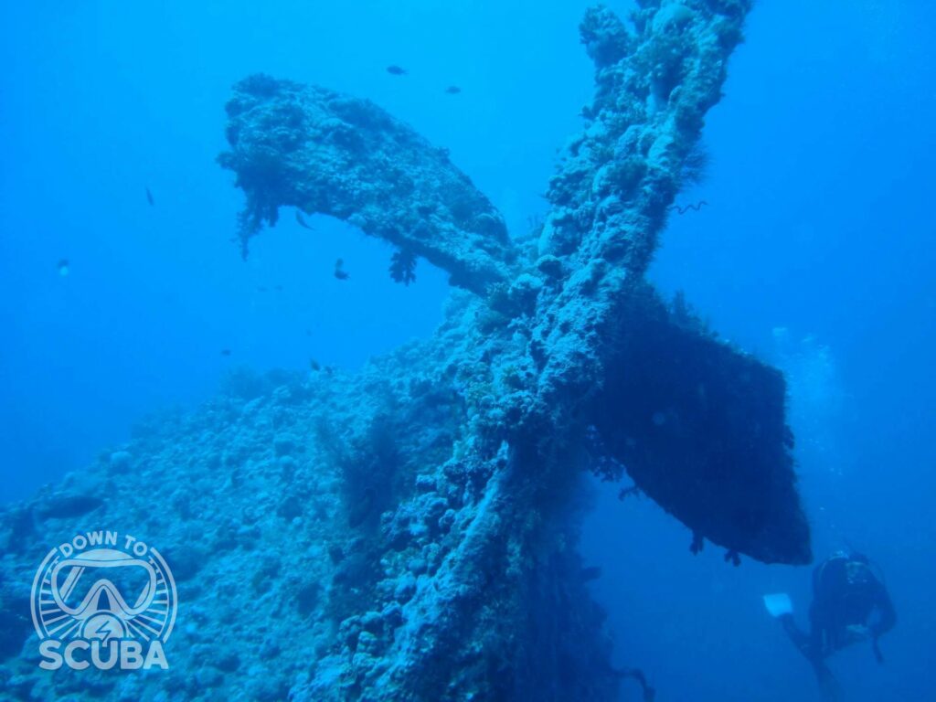 Diving in Sharm El Sheikh, at the Dunraven Wreck