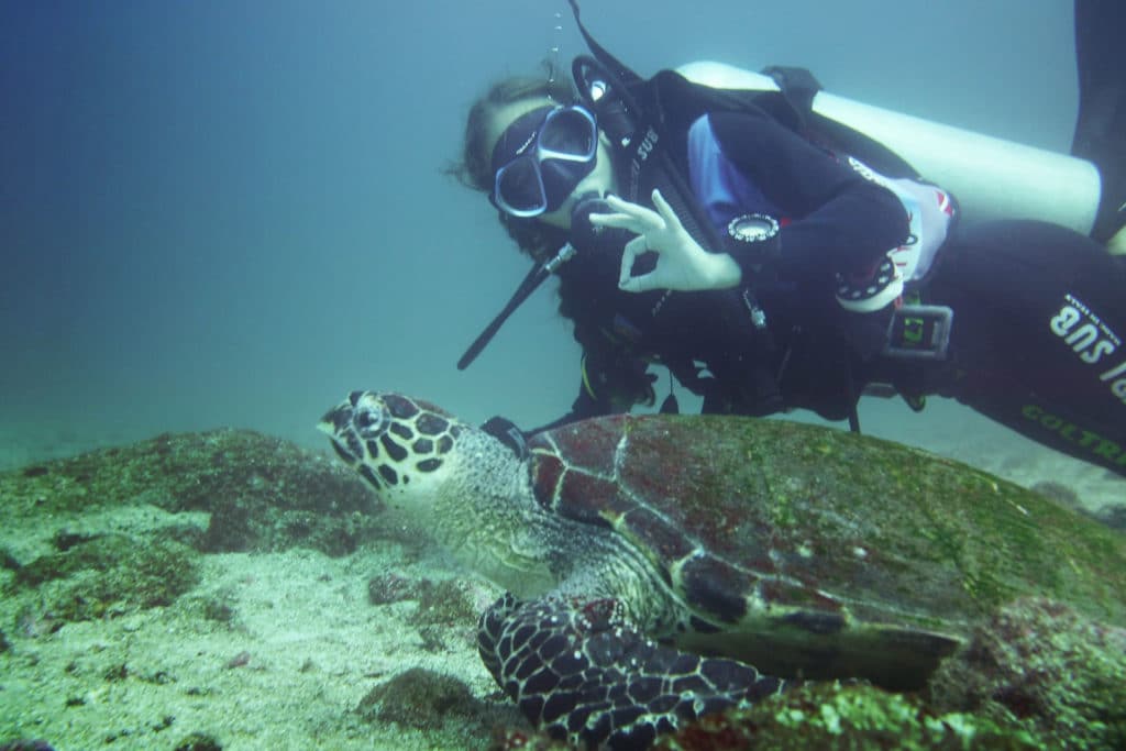 A scuba diver with a turtle in the Catalina Islands.