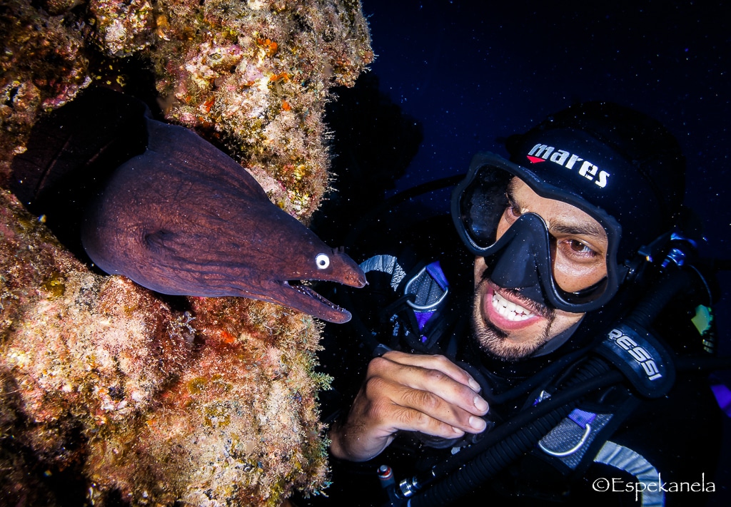 Moray eel in Shrimp Cave while diving in Tenerife