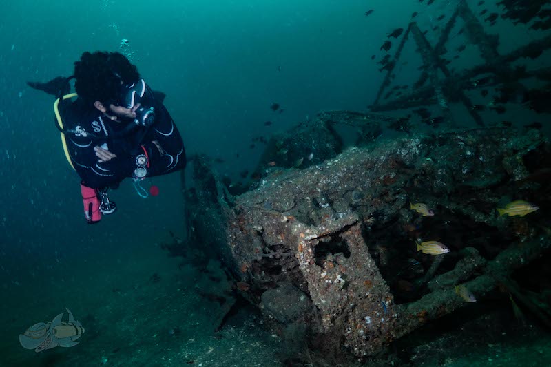 Diving at Temple Reef in Pondicherry