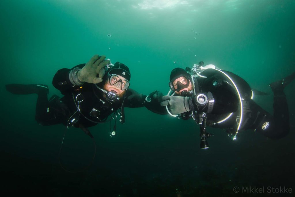 Diving in Norway, – Svestad Brygge, Oslo