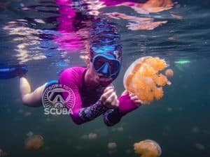 Diving in Palau – Micronesia, Pacific Ocean