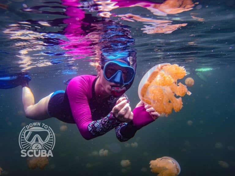 Diving in Palau – Micronesia, Pacific Ocean