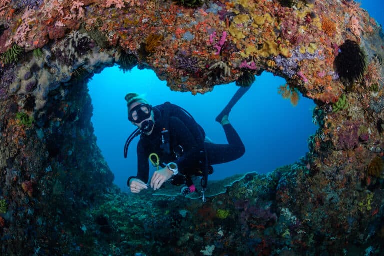 healthy corals in kuta lombok