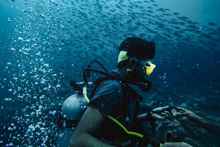 Do You Need To Be Certified To Go Scuba Diving?