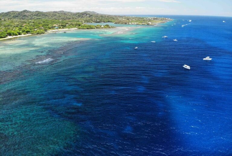 diving on roatan