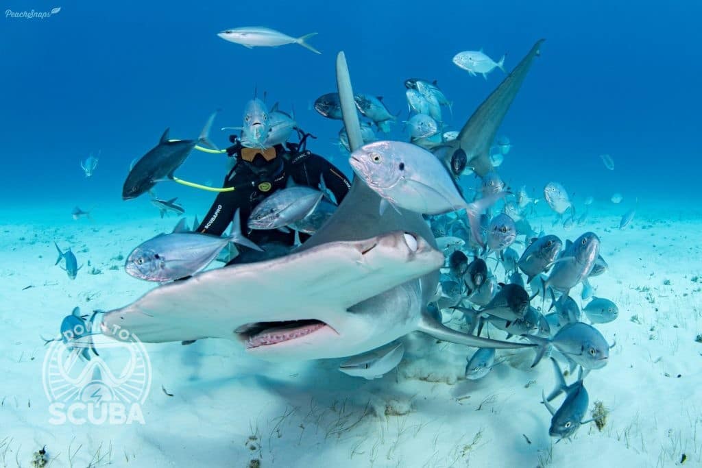 Q&A with an UW Photographer