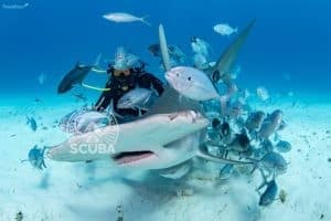 Q&A with an UW Photographer