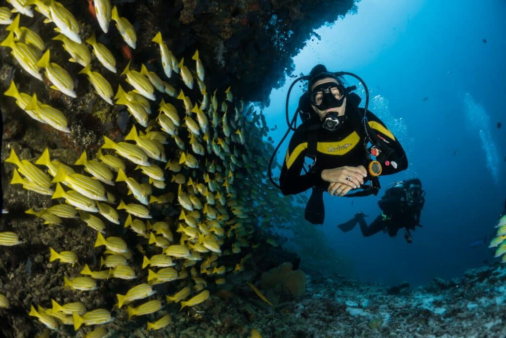 SCUBA Acronym – Use this Guide to Get you Started!