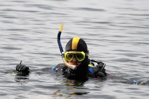 What Should Divers Do For Their Own Safety?
