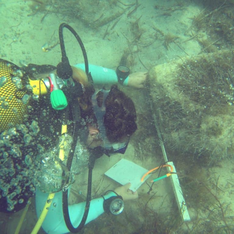 Maritime Archaeologist, Chanelle, taking measurements underwater. This is one of many scuba diving employment opportunities for divers.