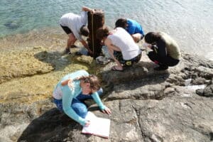 Q&A with a Maritime Archaeologist