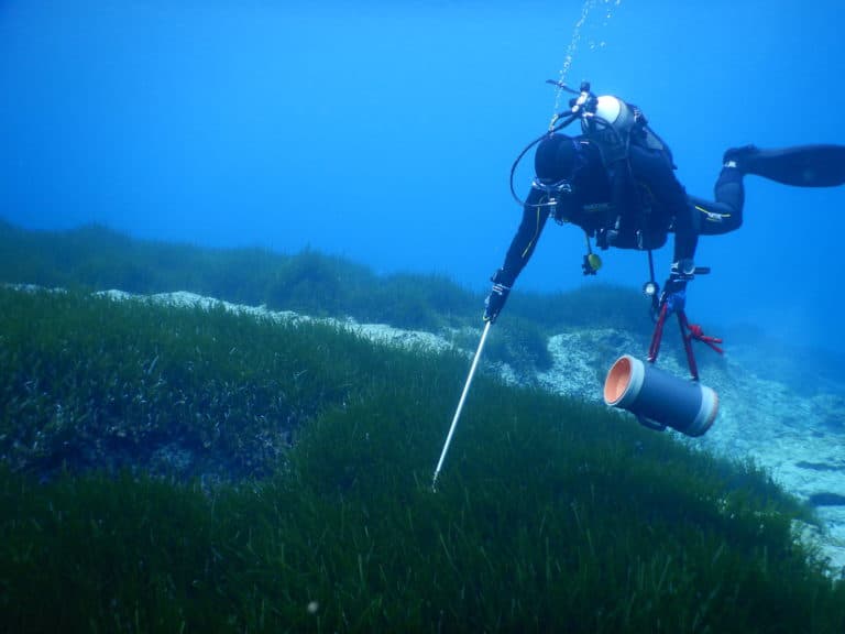 Ioannis Savva - Marine Biologist hunting and studying the invasive lionfish