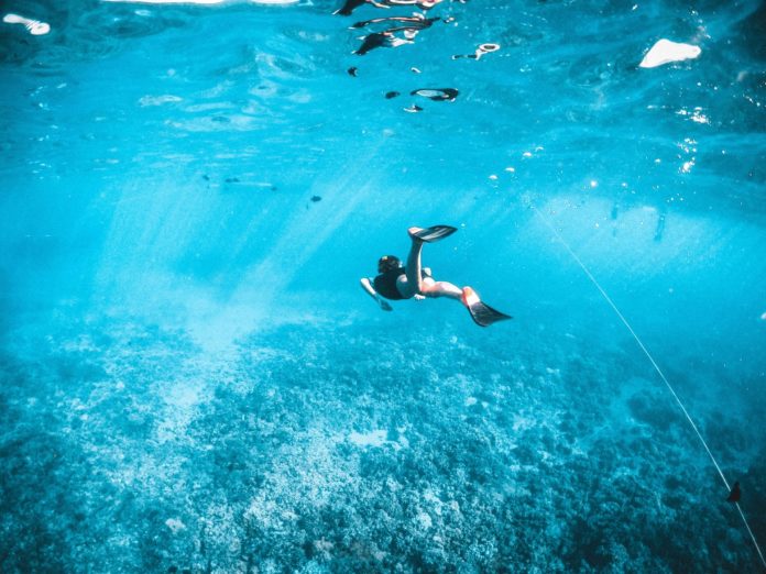 A person snorkeling underwater. We want to know if snorkeling is dangerous or safe.