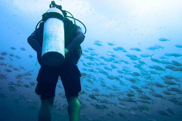 A scuba diver contemplating the differences between a scuba diving vs open water certification