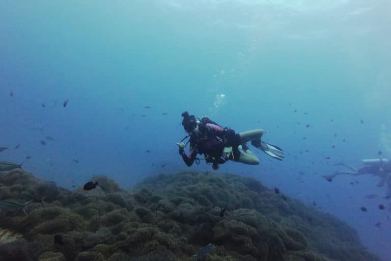 Emma diving on Koh Tao. There's lots of curries in Thailand so find out what to eat and what to avoid before scuba diving.