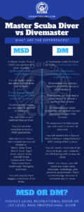 Master Scuba Diver vs Divemaster – Which Certification to Choose?