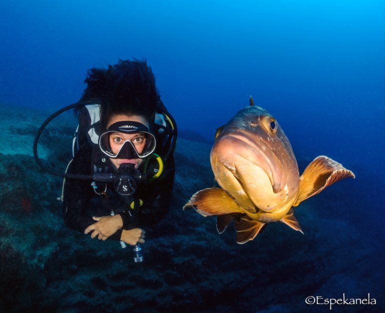 Isabel Cruz Grouper Diving In Fuerteventura Espe Kanela