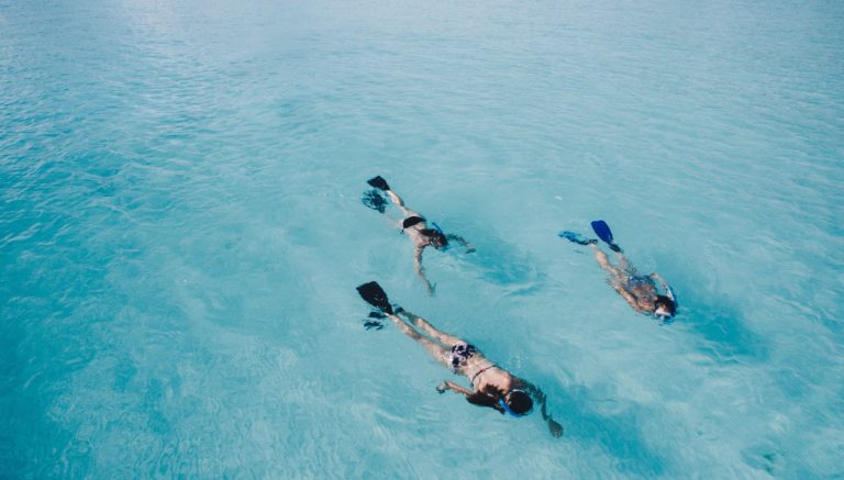 Three snorkelers swimming over sand. Is sand fish poop?