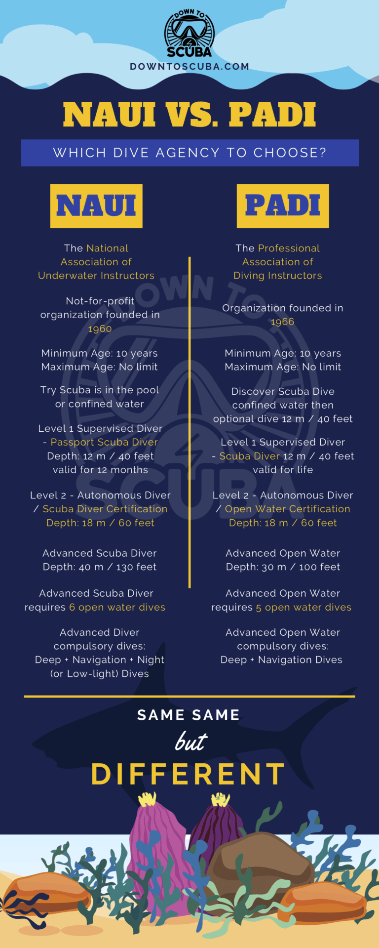 NAUI vs PADI the key differences infographic