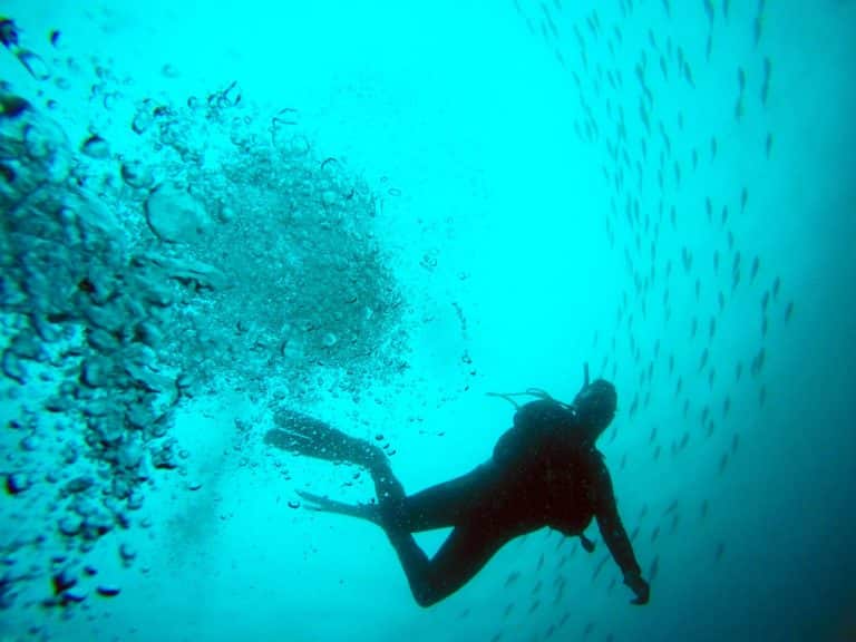 A blurry scuba diver underwater. Scuba diving and alcohol is a dangerous combination.