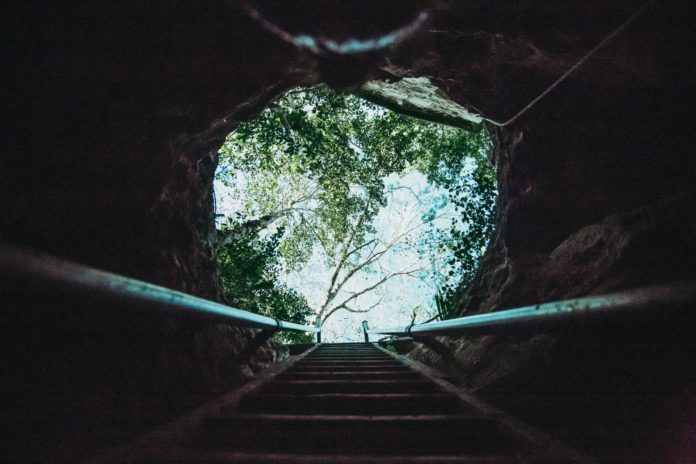 A cenote seen from below