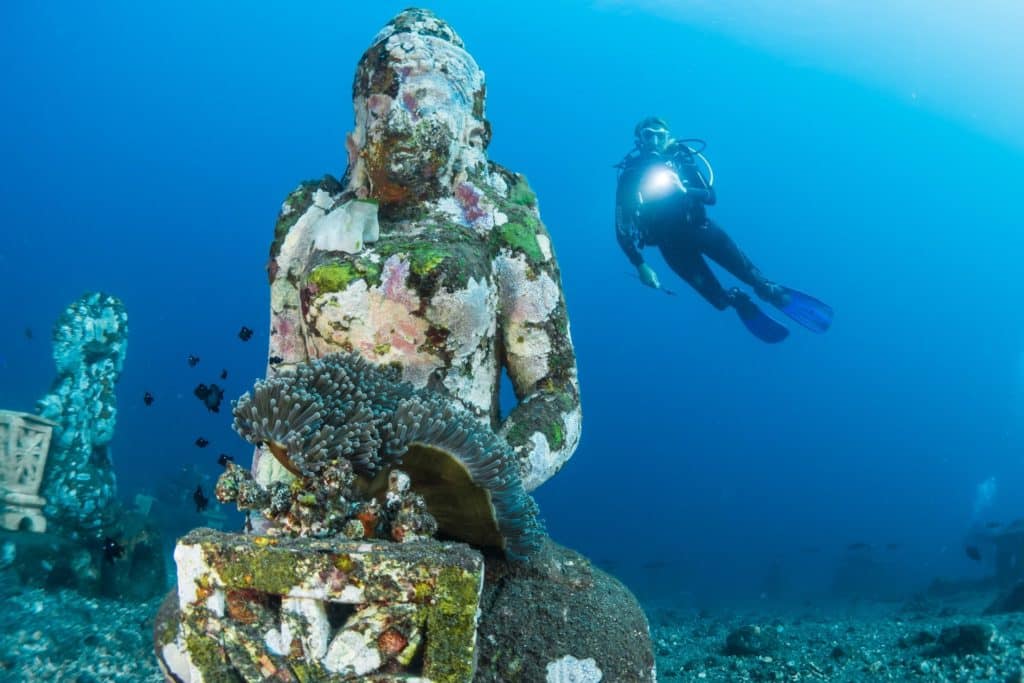 Learn to Scuba Dive – What to Expect as a Beginner