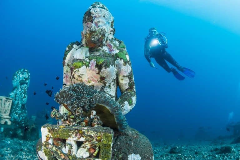 Learn how to scuba dive like this scuba diver with a statue and coral