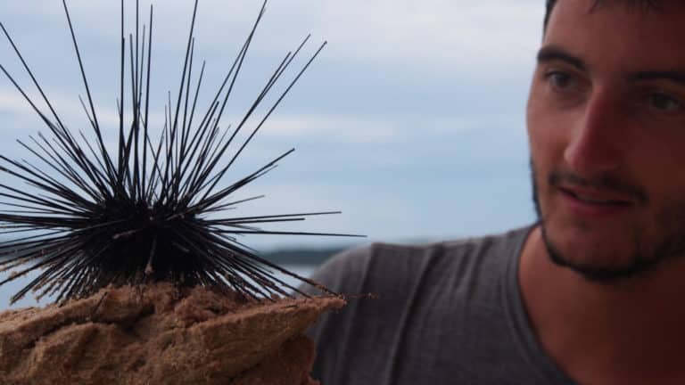 Lionel with a sea urchin in foot in Koh Rong, Cambodia