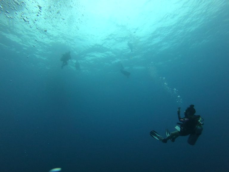 My instructor tips for scuba diving for beginners.