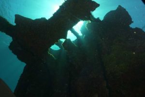 Scuba Diving in Jamaica – Wrecks, Reefs, and Walls