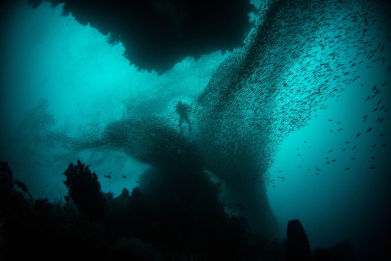 Diver on a decompression dive while surrounded by a school of fish.