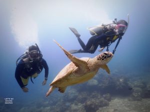 How to Prevent the Bends in Scuba Diving